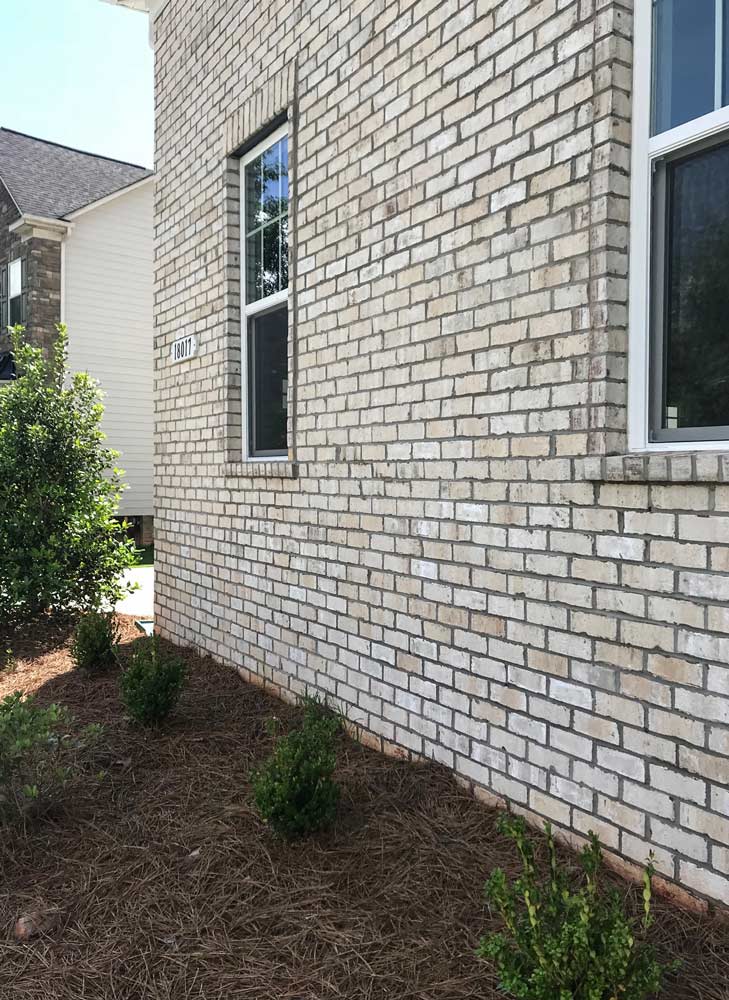 Chesapeake Pearl Pine Hall Brick