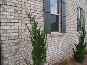 Gray Mortar