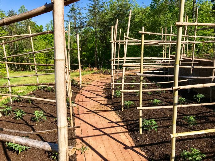 Meandering paver garden pathway